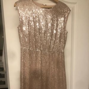 Jcrew blush sequin dress size 6